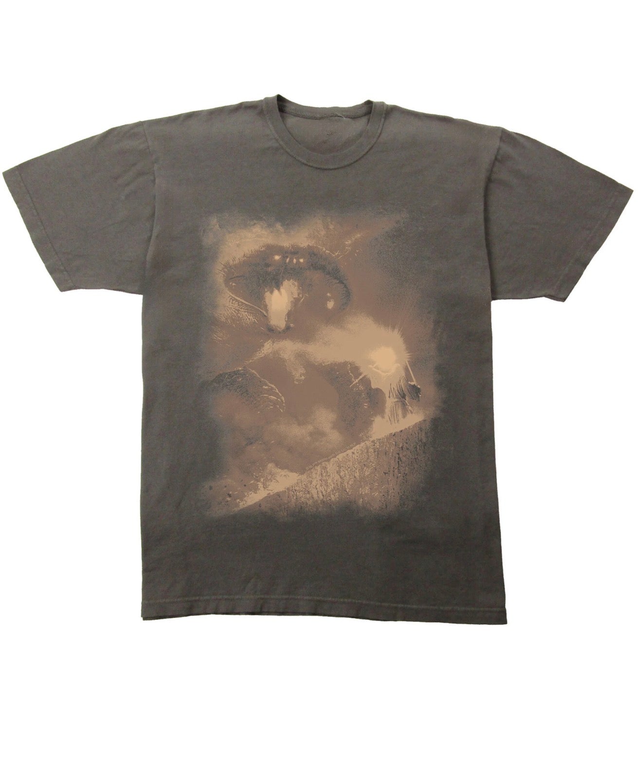 Lord Of The Rings Bridge Of Khazad-Dûm Shirt