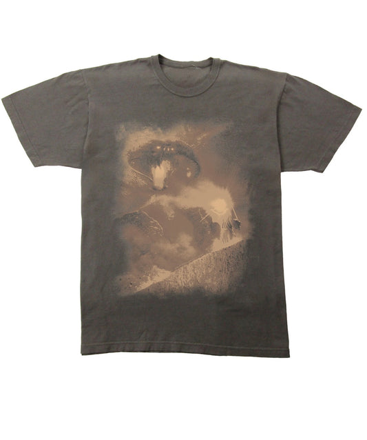 Lord Of The Rings Bridge Of Khazad-Dûm Shirt